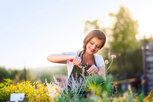 Team member trimming hedges in a Stoke Newington garden