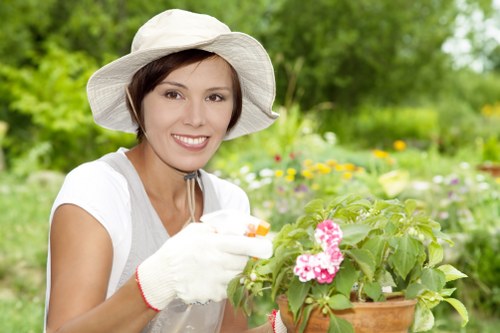 Close-up of a client pointing at a garden area