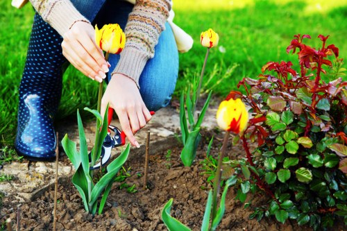 Sustainable landscaping features in Stoke Newington